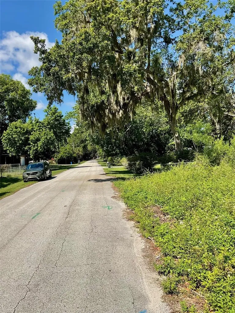 Paige Avenue New Smyrna Beach FL 32168