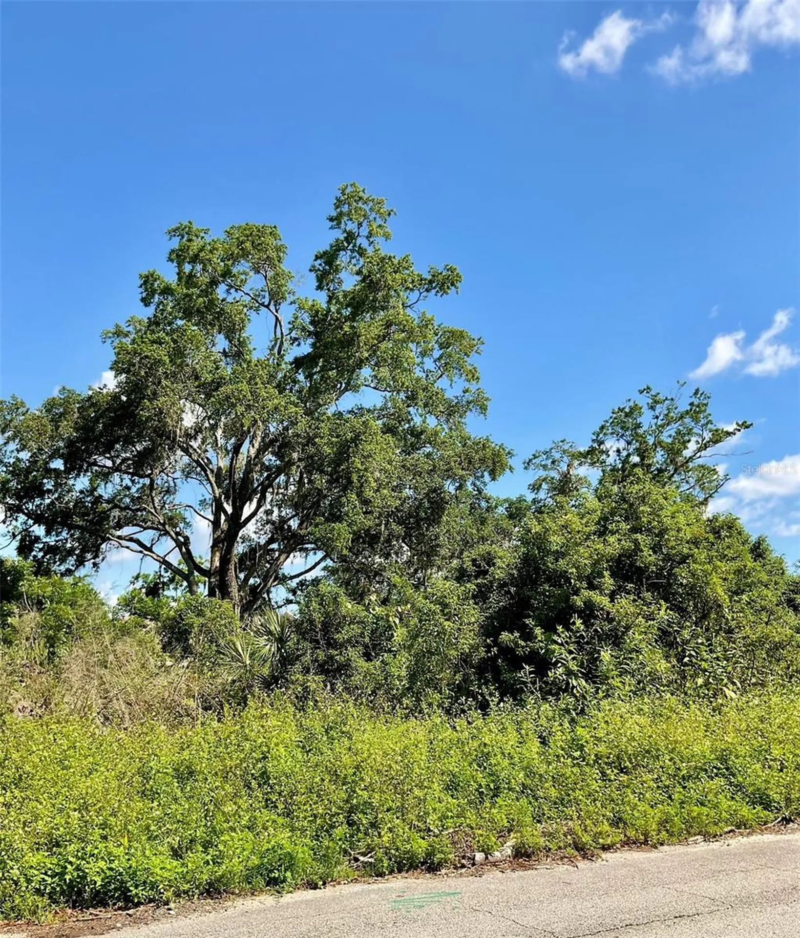 Paige Avenue New Smyrna Beach FL 32168
