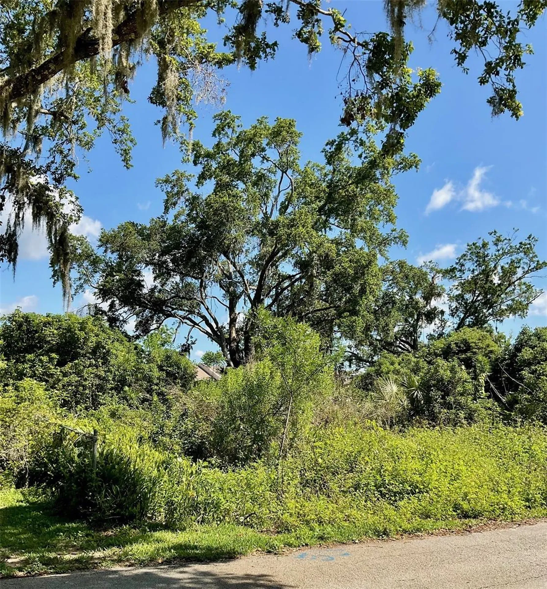 Paige Avenue New Smyrna Beach FL 32168