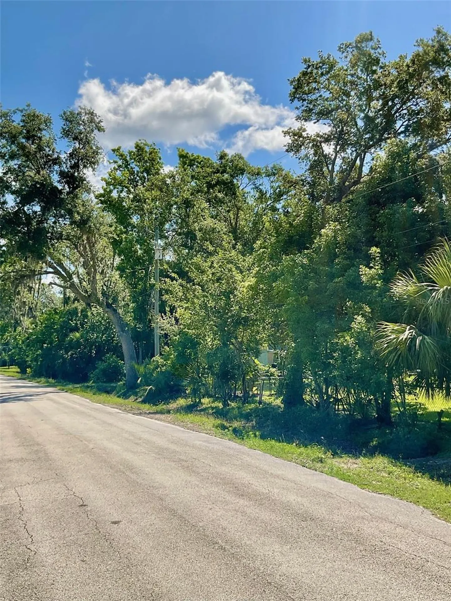 Paige Avenue New Smyrna Beach FL 32168