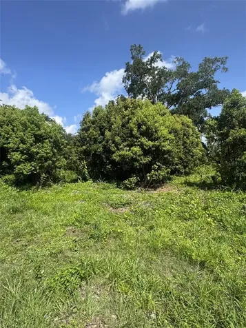 Paige Avenue New Smyrna Beach FL 32168