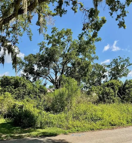 Paige Avenue New Smyrna Beach FL 32168