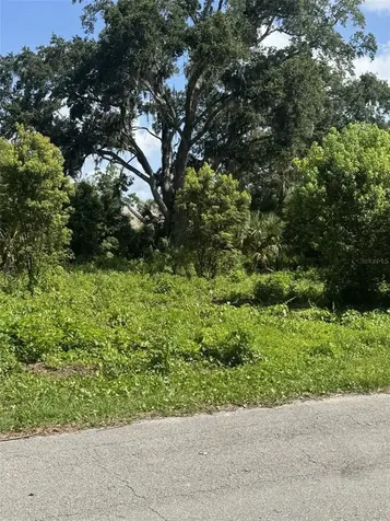 Paige Avenue New Smyrna Beach FL 32168
