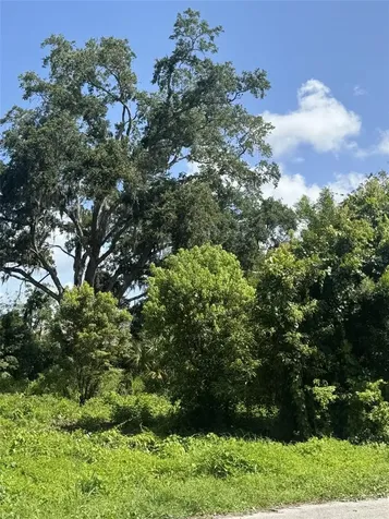 Paige Avenue New Smyrna Beach FL 32168