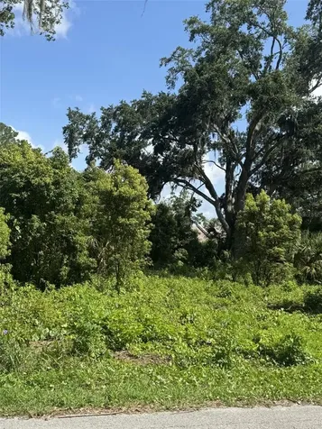 Paige Avenue New Smyrna Beach FL 32168