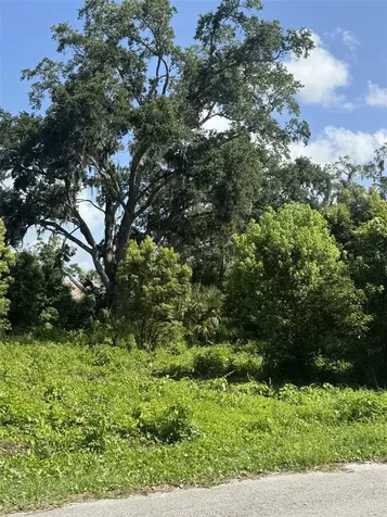 Paige Avenue New Smyrna Beach FL 32168