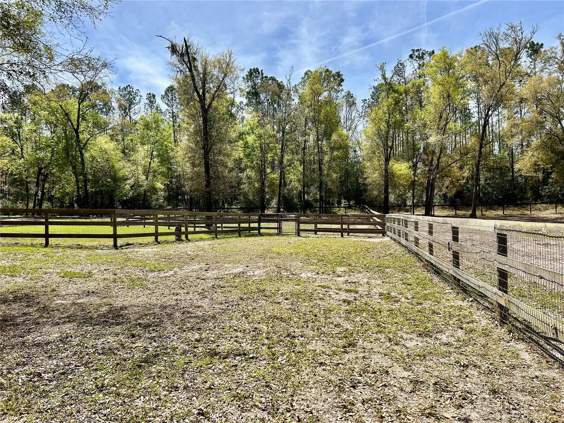 9290 NW 125th Avenue Ocala FL 34482