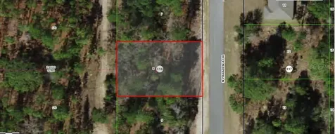 9120 N Paradisea Drive Citrus Springs FL 34433