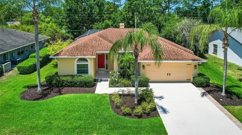 2498 Saddlewood Lane Palm Harbor FL 34685