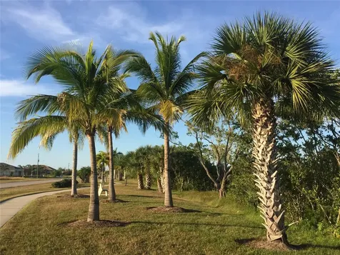 13493 Abutilon Lane Port Charlotte FL 33981