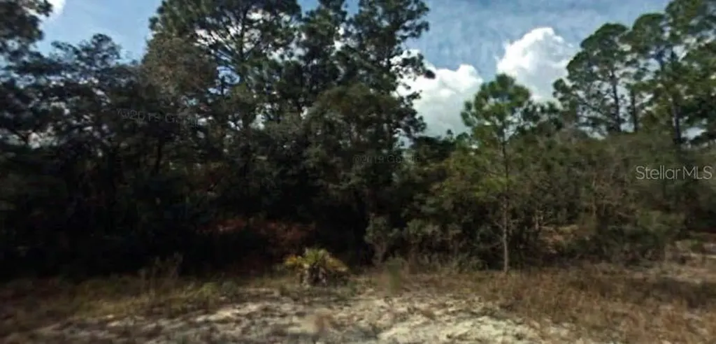394 Showboat Avenue Lake Placid FL 33852