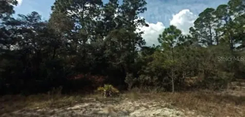394 Showboat Avenue Lake Placid FL 33852