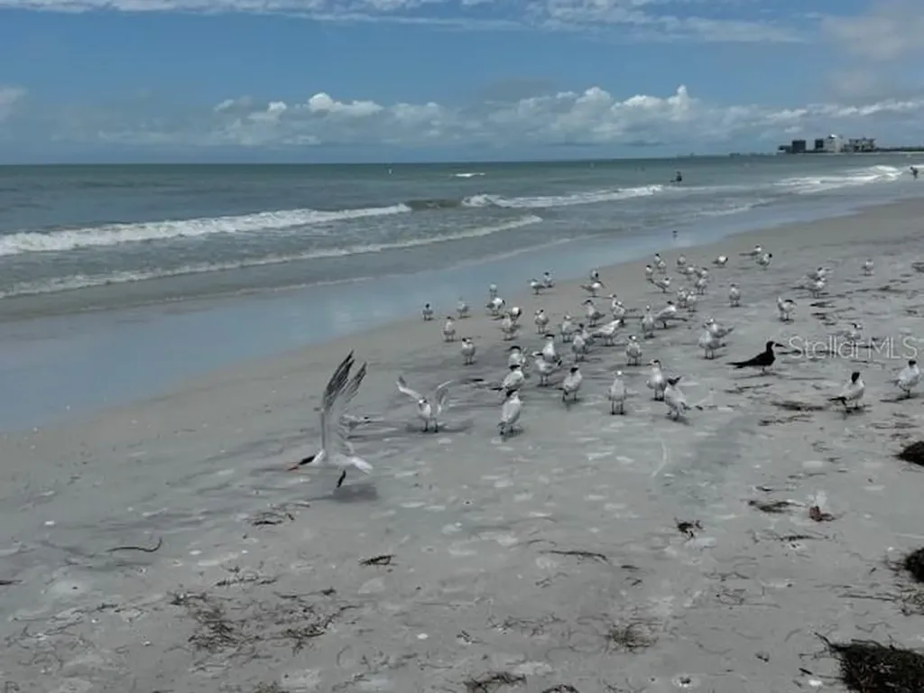 4103 Gulf Boulevard St Pete Beach FL 33706