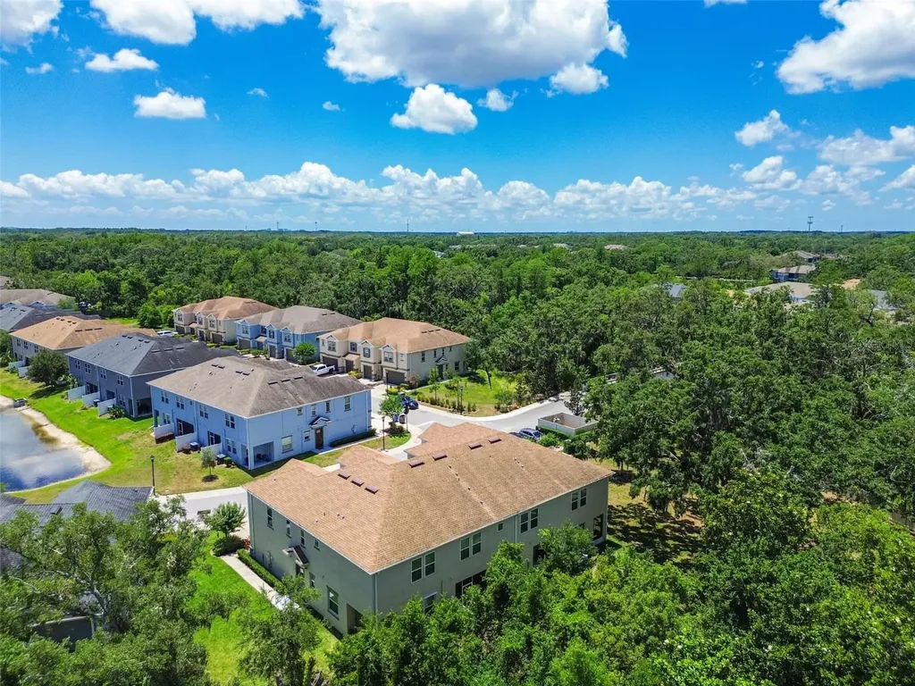6745 Citrus Creek Lane Tampa FL 33625