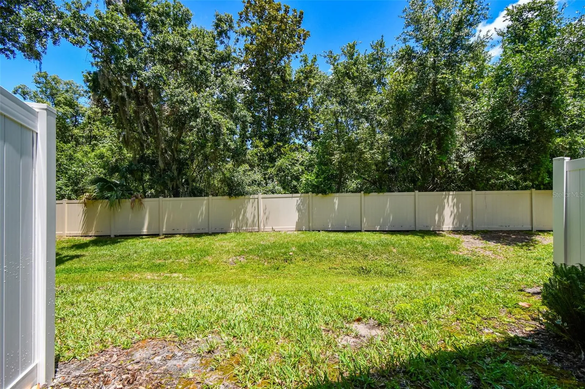 6745 Citrus Creek Lane Tampa FL 33625