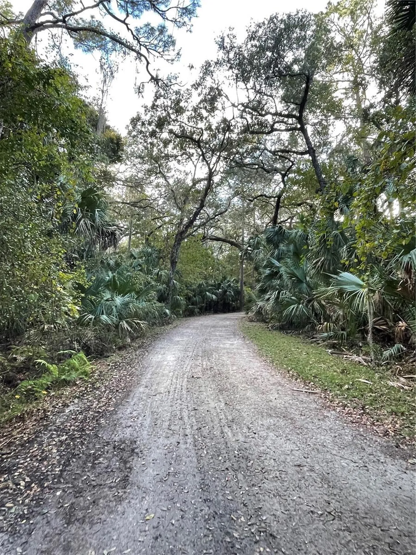 Tall Palm Fish Camp Road Deland FL 32720