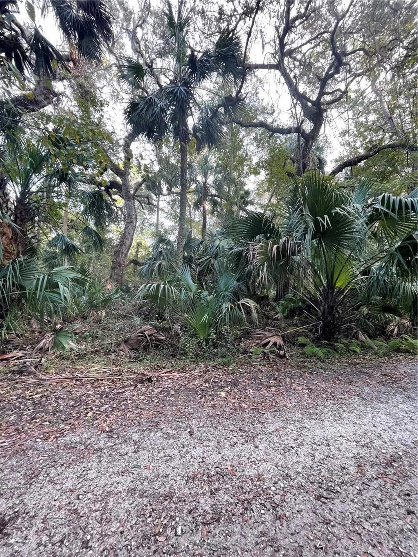 Tall Palm Fish Camp Road Deland FL 32720