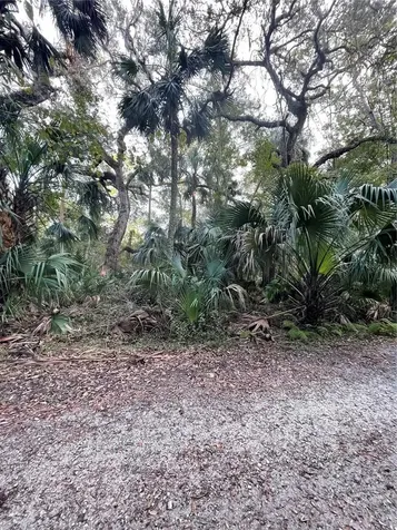 Tall Palm Fish Camp Road Deland FL 32720