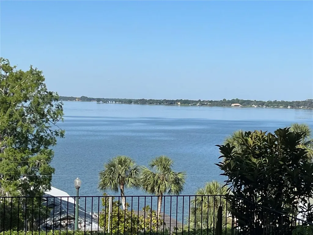 629 Helen Street Mount Dora FL 32757