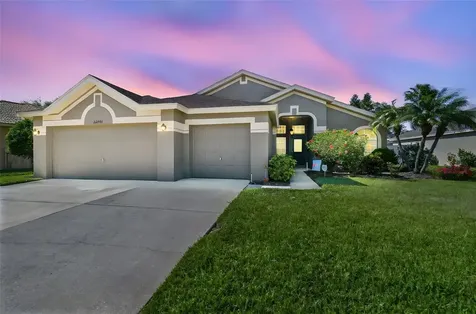 22431 Willow Lakes Drive Lutz FL 33549