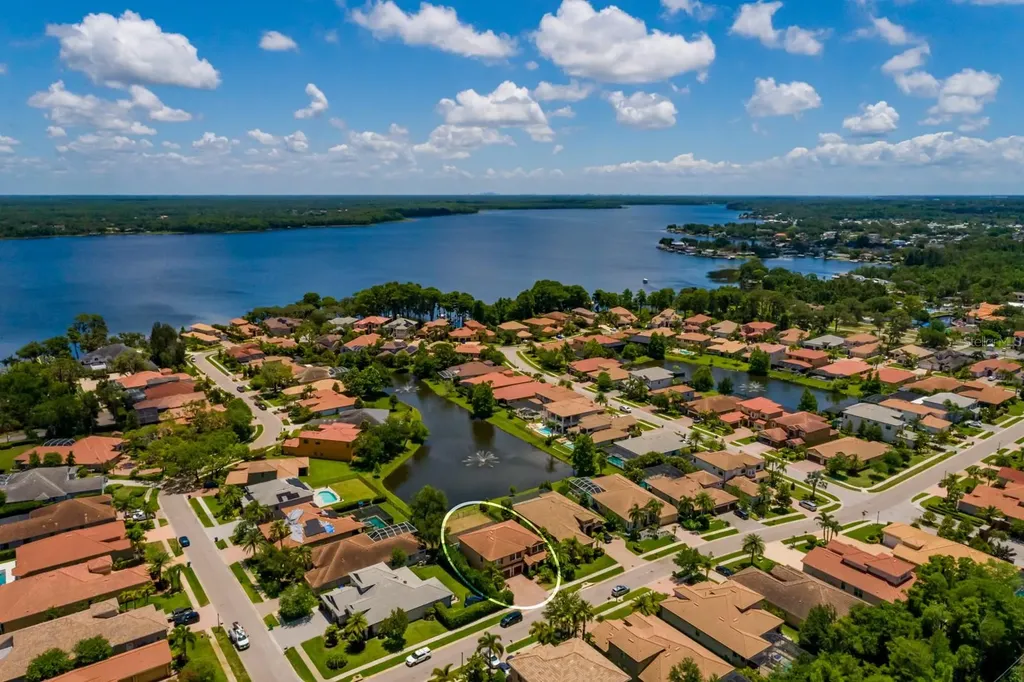 4611 Grand Preserve Place Palm Harbor FL 34684