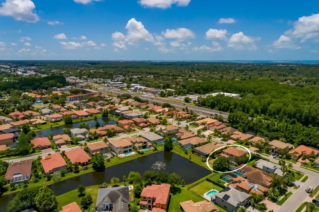 4611 Grand Preserve Place Palm Harbor FL 34684