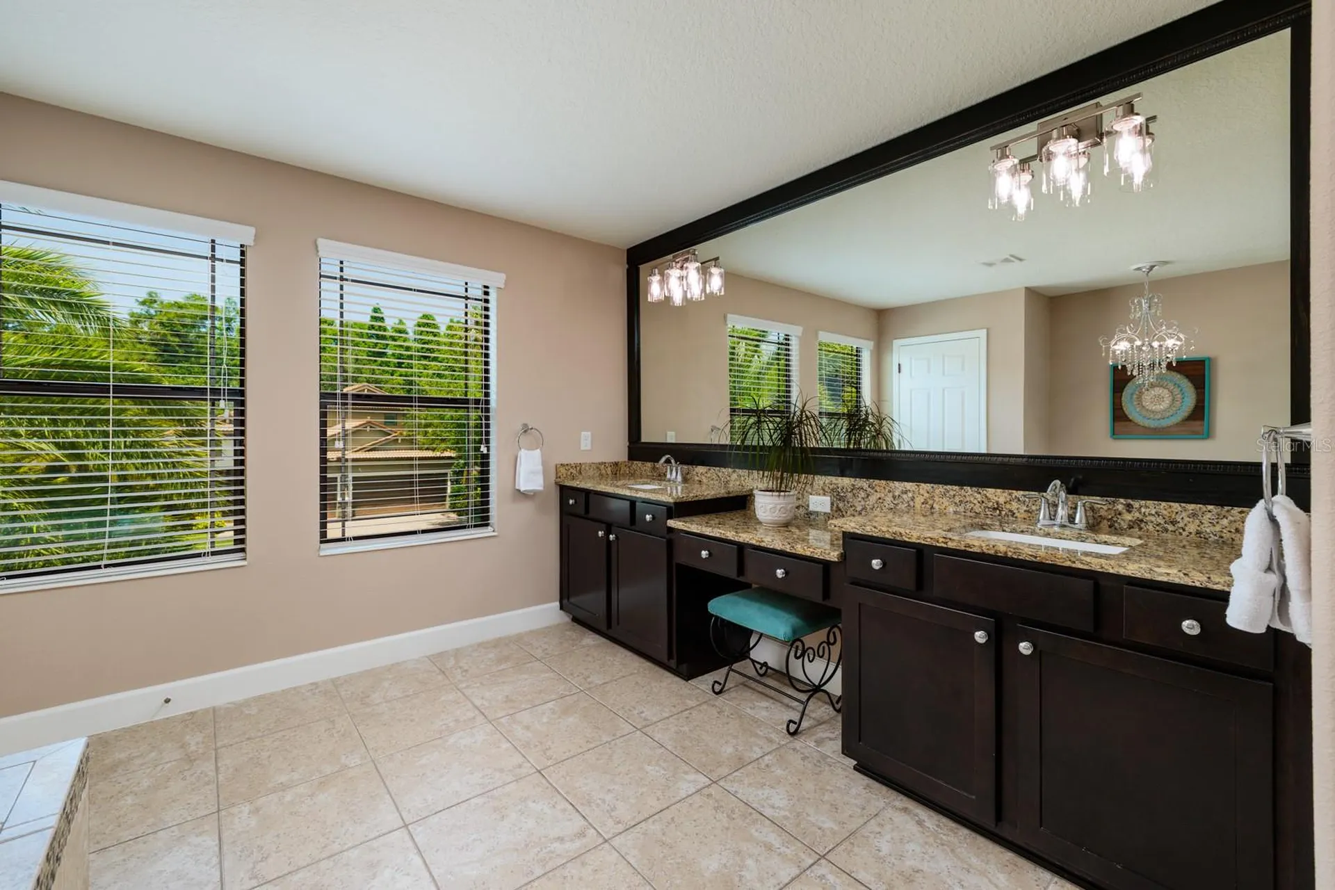 4611 Grand Preserve Place Palm Harbor FL 34684