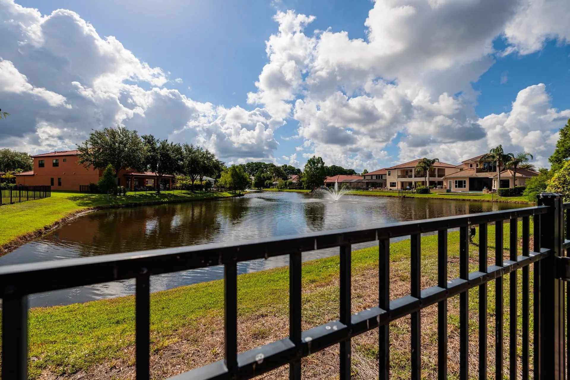 4611 Grand Preserve Place Palm Harbor FL 34684