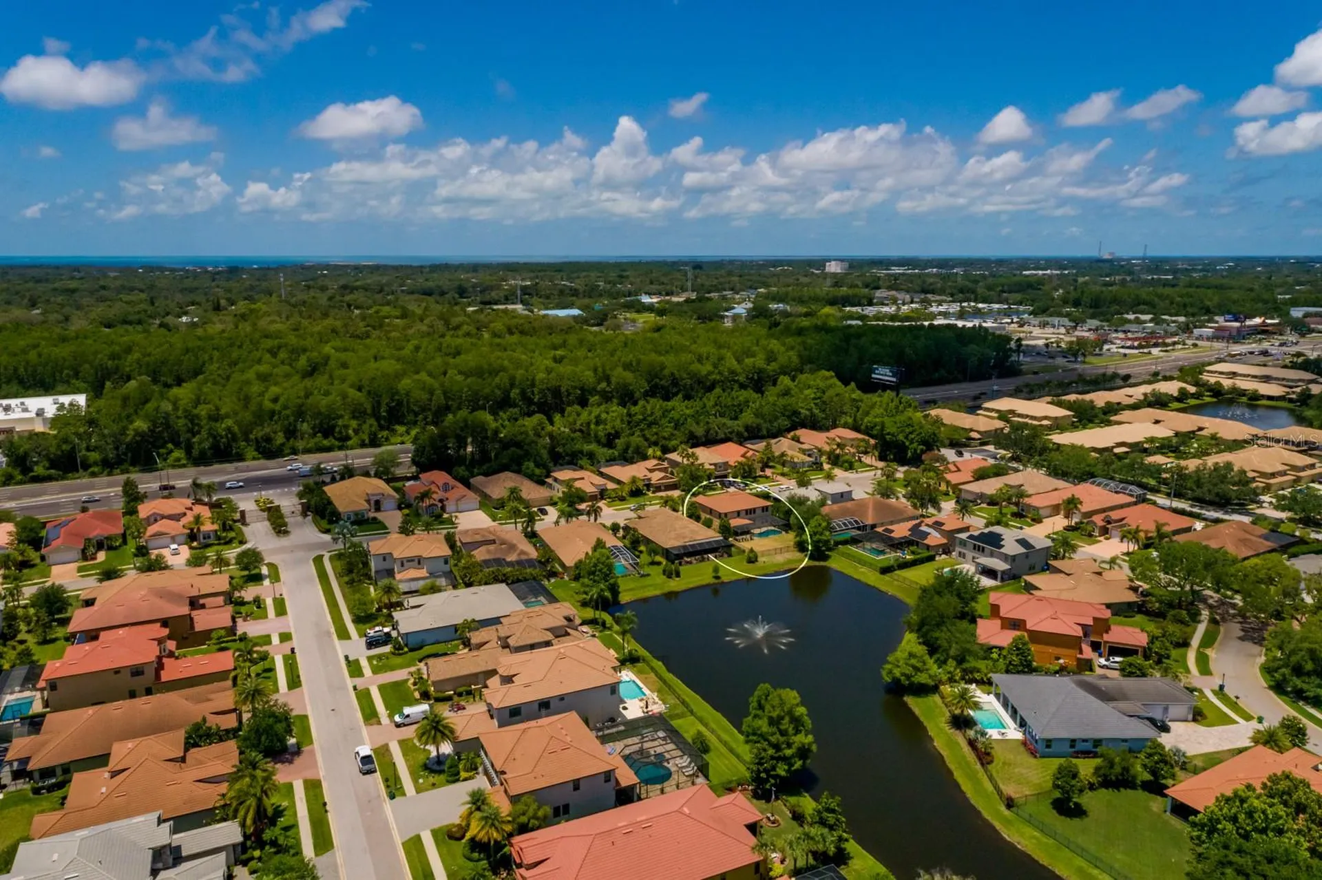 4611 Grand Preserve Place Palm Harbor FL 34684