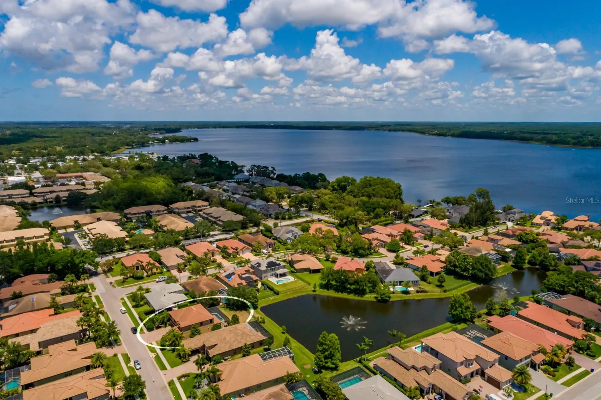 4611 Grand Preserve Place Palm Harbor FL 34684