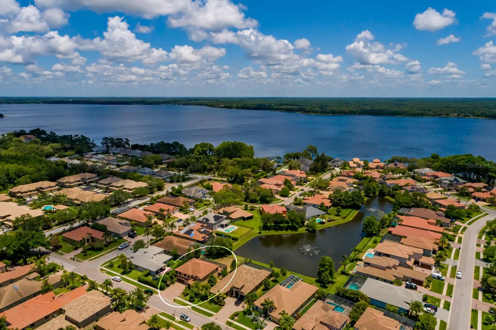 4611 Grand Preserve Place Palm Harbor FL 34684