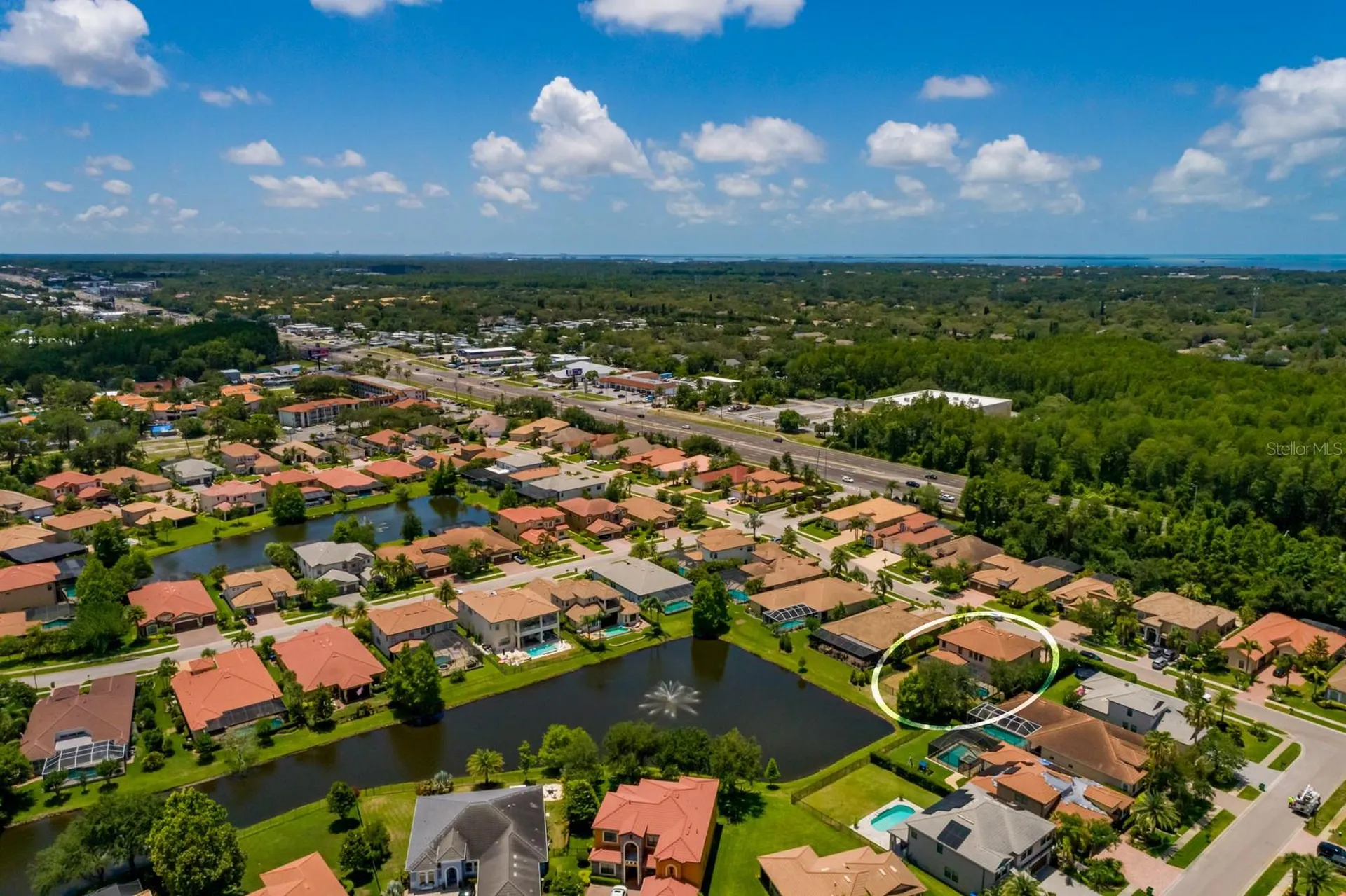 4611 Grand Preserve Place Palm Harbor FL 34684