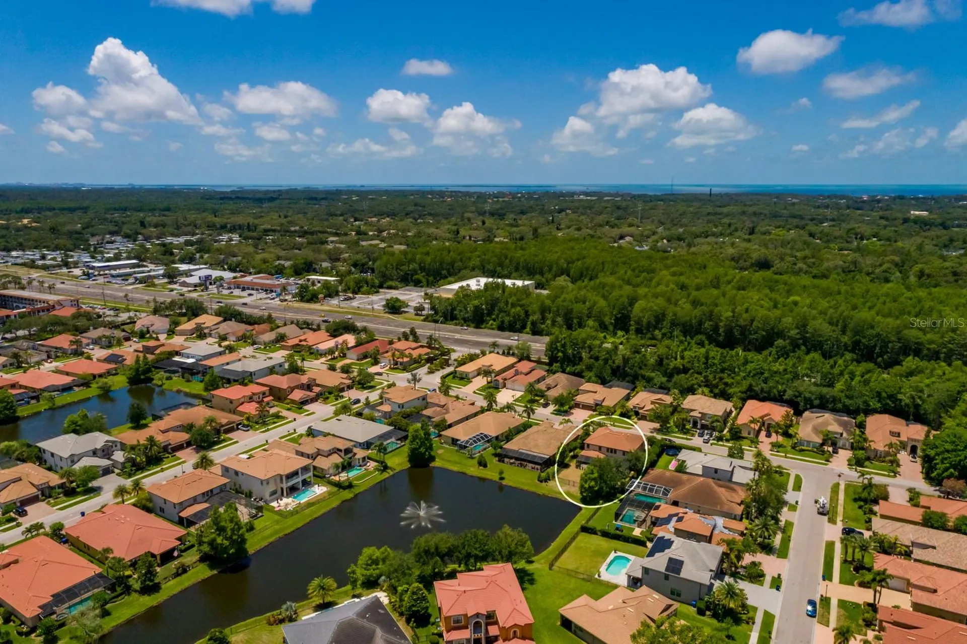 4611 Grand Preserve Place Palm Harbor FL 34684