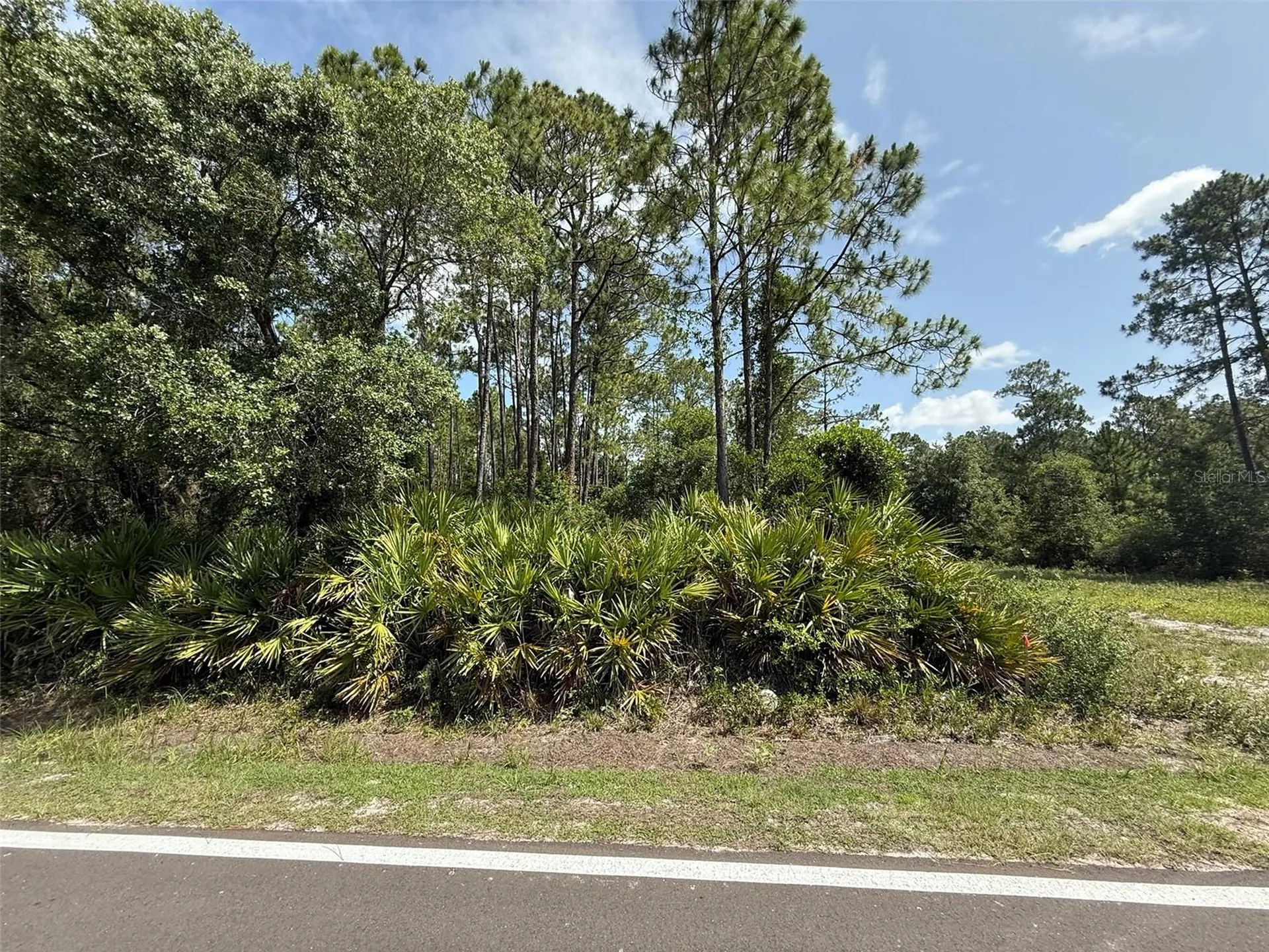 174 Millican Road Palatka FL 32177