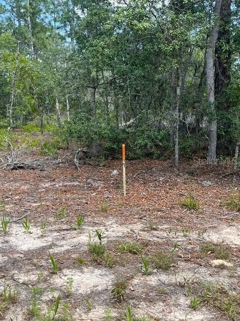 Tbd SW 57th Avenue Interlachen FL 32148