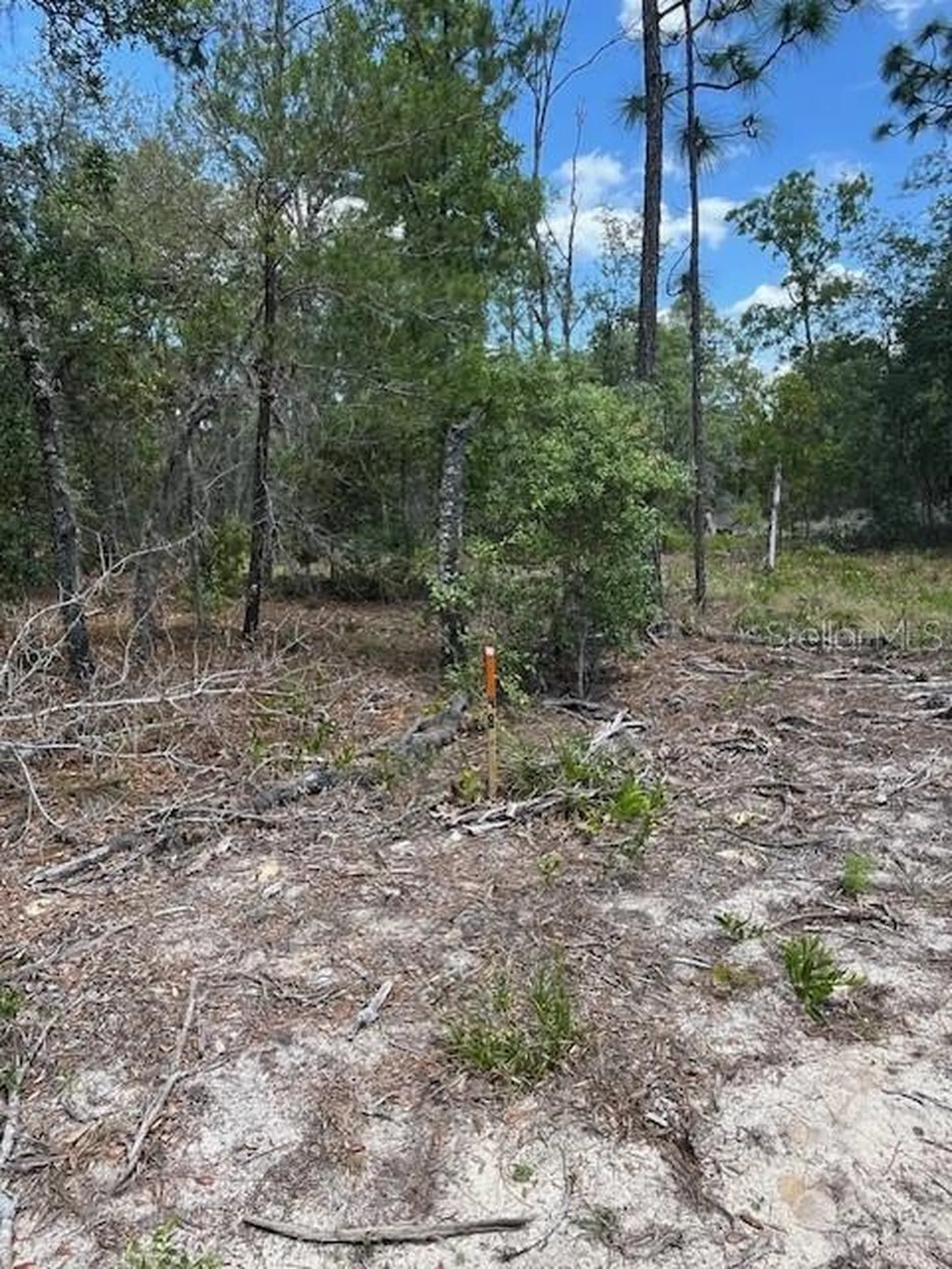Tbd SW 57th Avenue Interlachen FL 32148