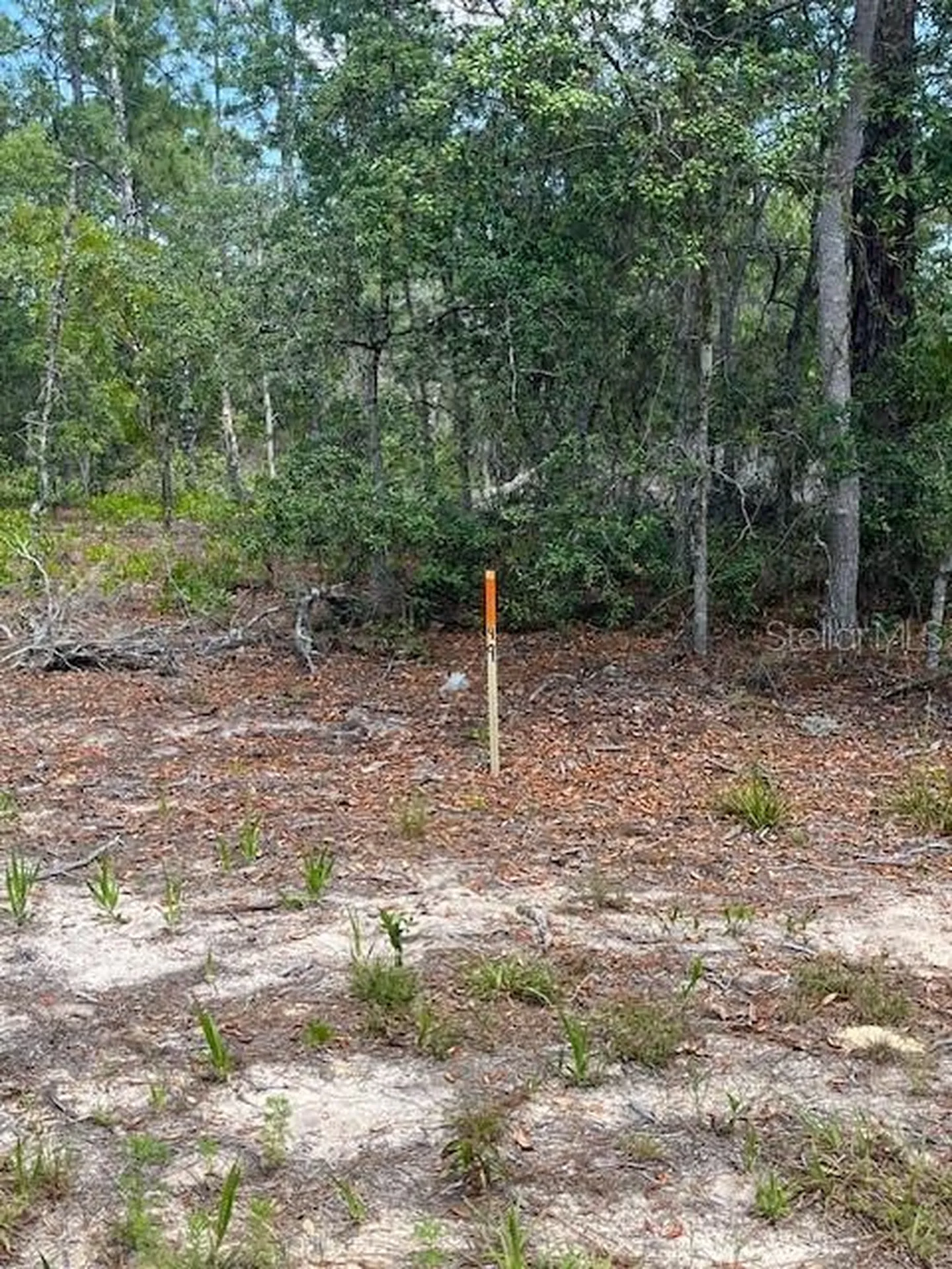 Tbd SW 57th Avenue Interlachen FL 32148