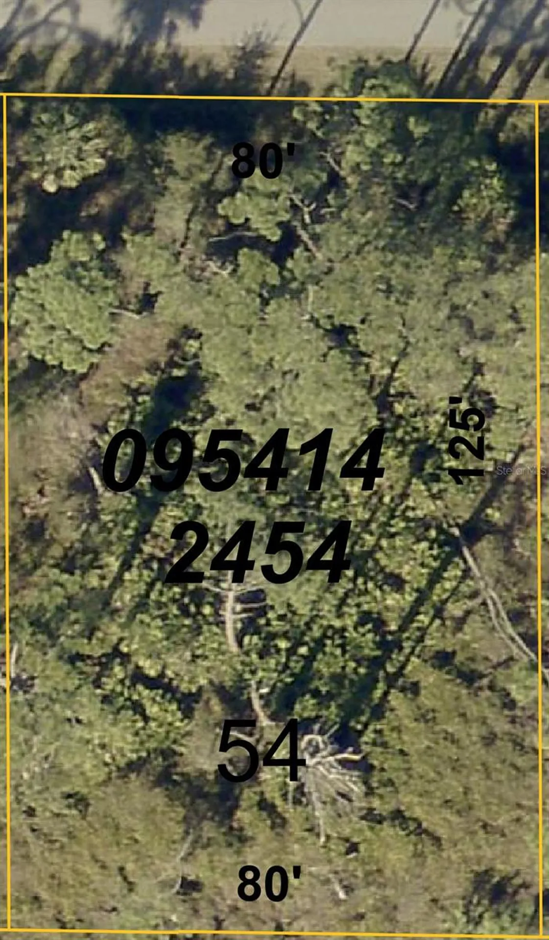 Lady Slipper Avenue North Port FL 34291