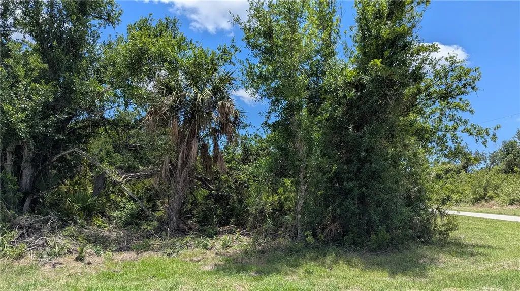 10017 Cocoa Beach Street Port Charlotte FL 33981