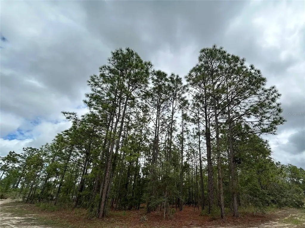 0 Mellon Road Weeki Wachee FL 34614