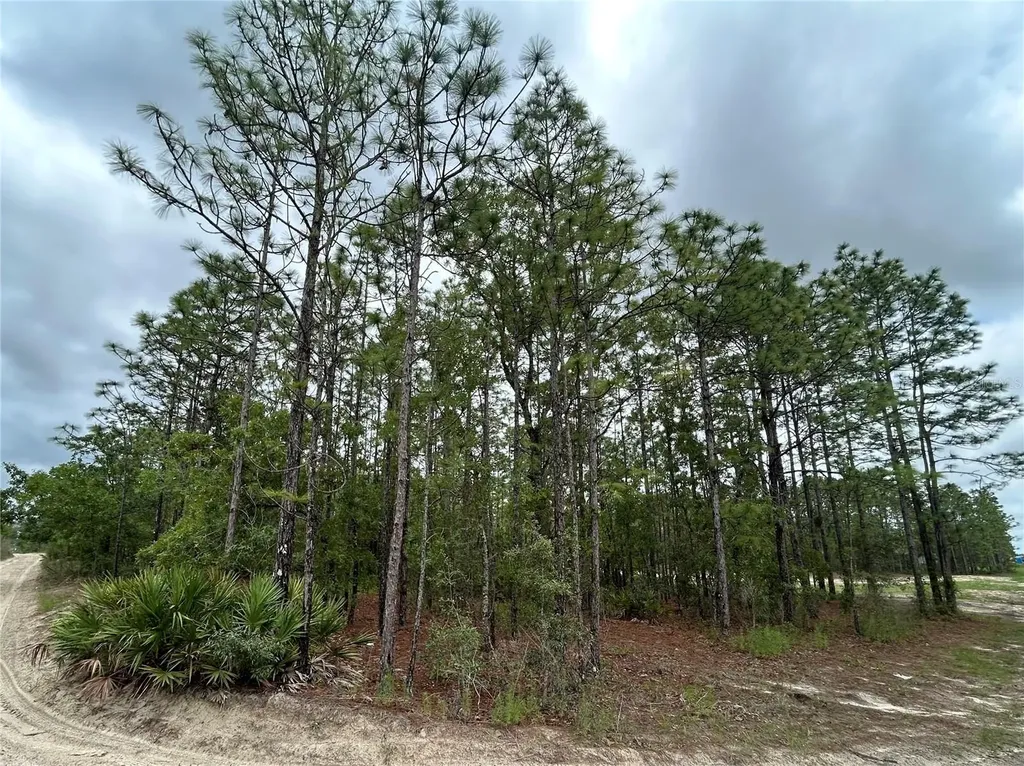 0 Mellon Road Weeki Wachee FL 34614
