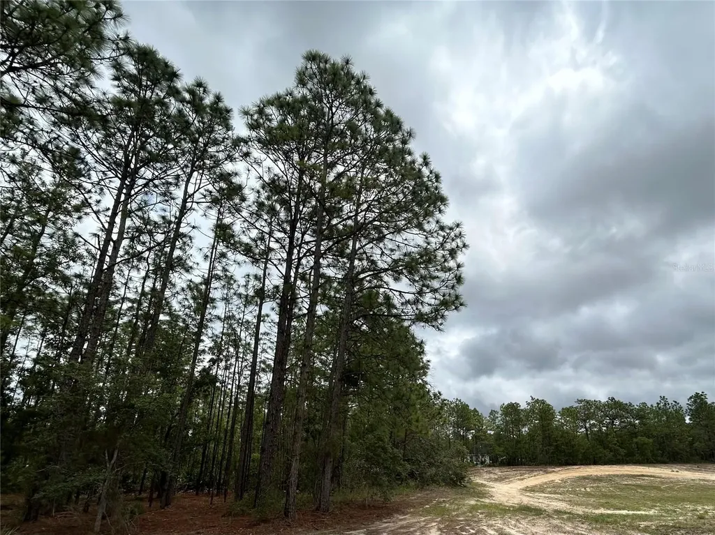 0 Mellon Road Weeki Wachee FL 34614