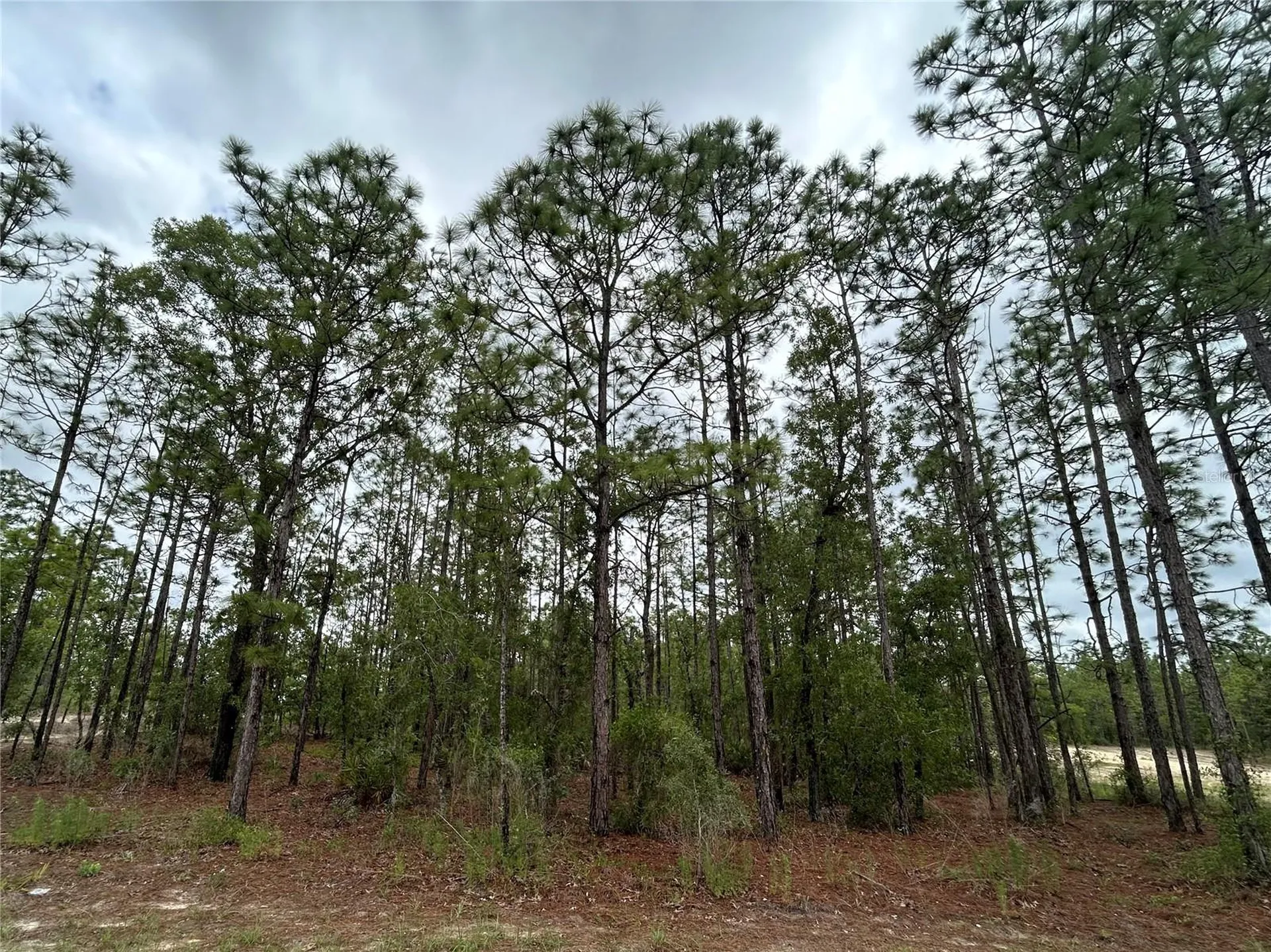 0 Mellon Road Weeki Wachee FL 34614
