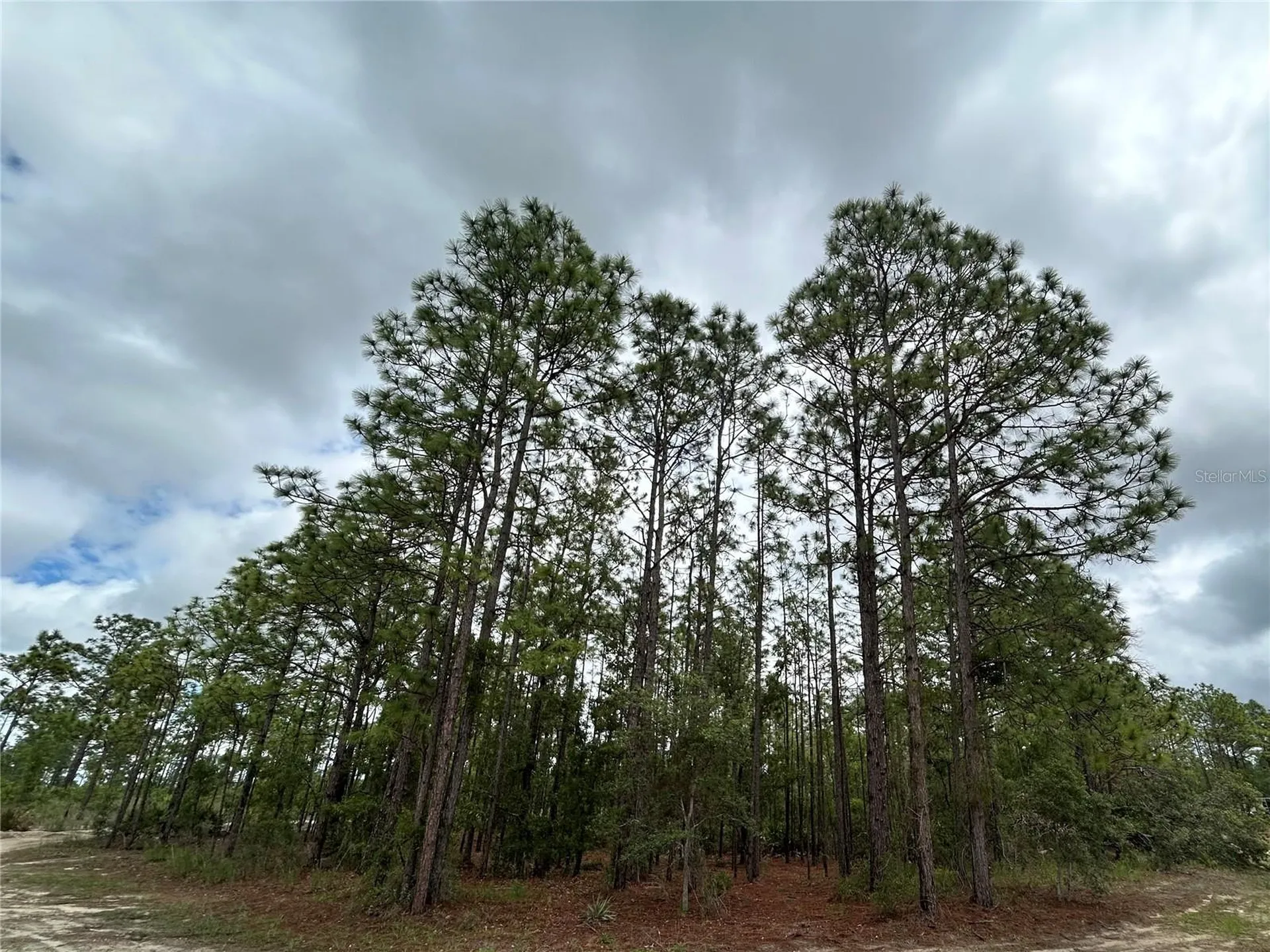 0 Mellon Road Weeki Wachee FL 34614