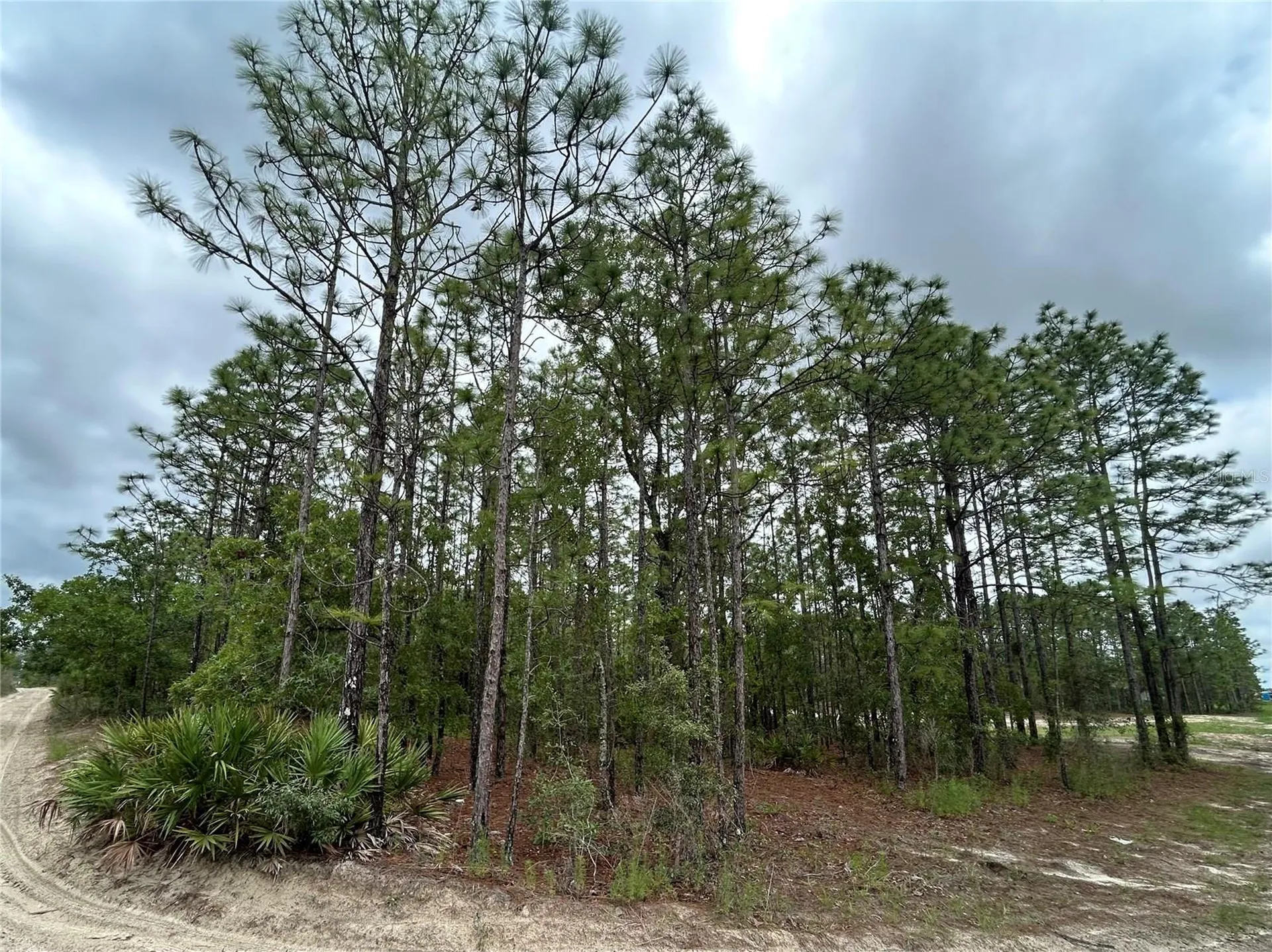 0 Mellon Road Weeki Wachee FL 34614