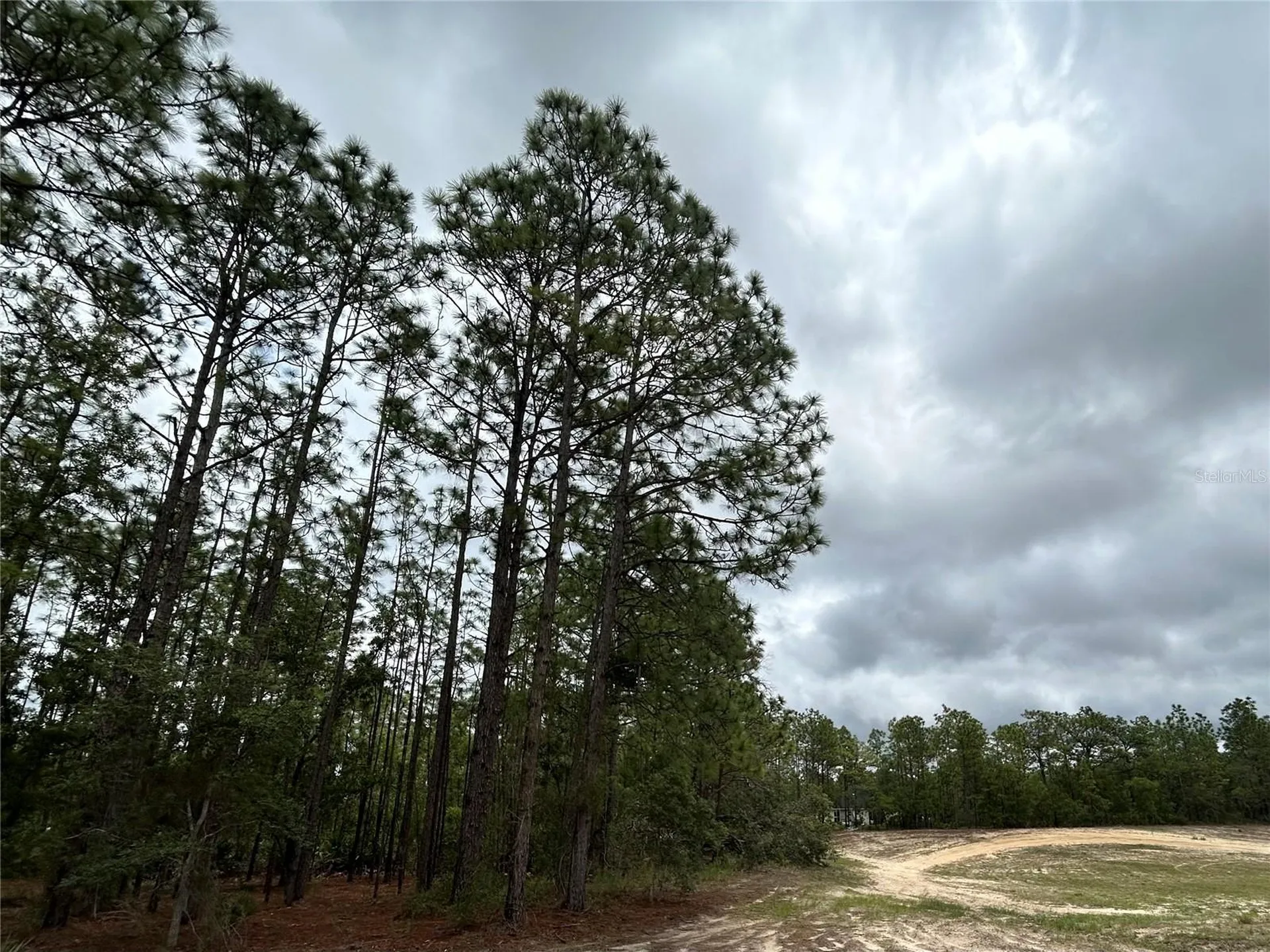0 Mellon Road Weeki Wachee FL 34614
