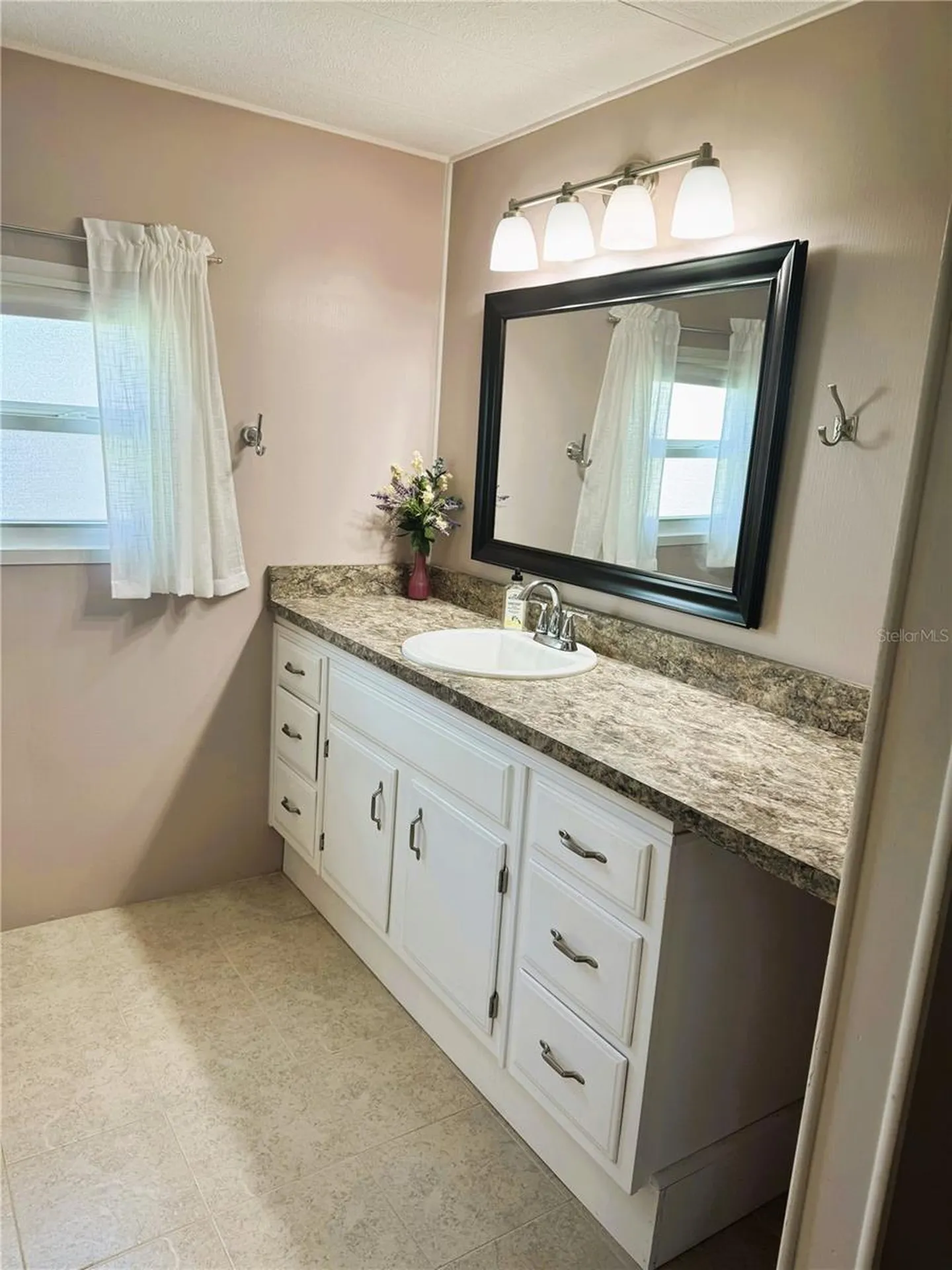 102 Tangelo Cove Leesburg FL 34748