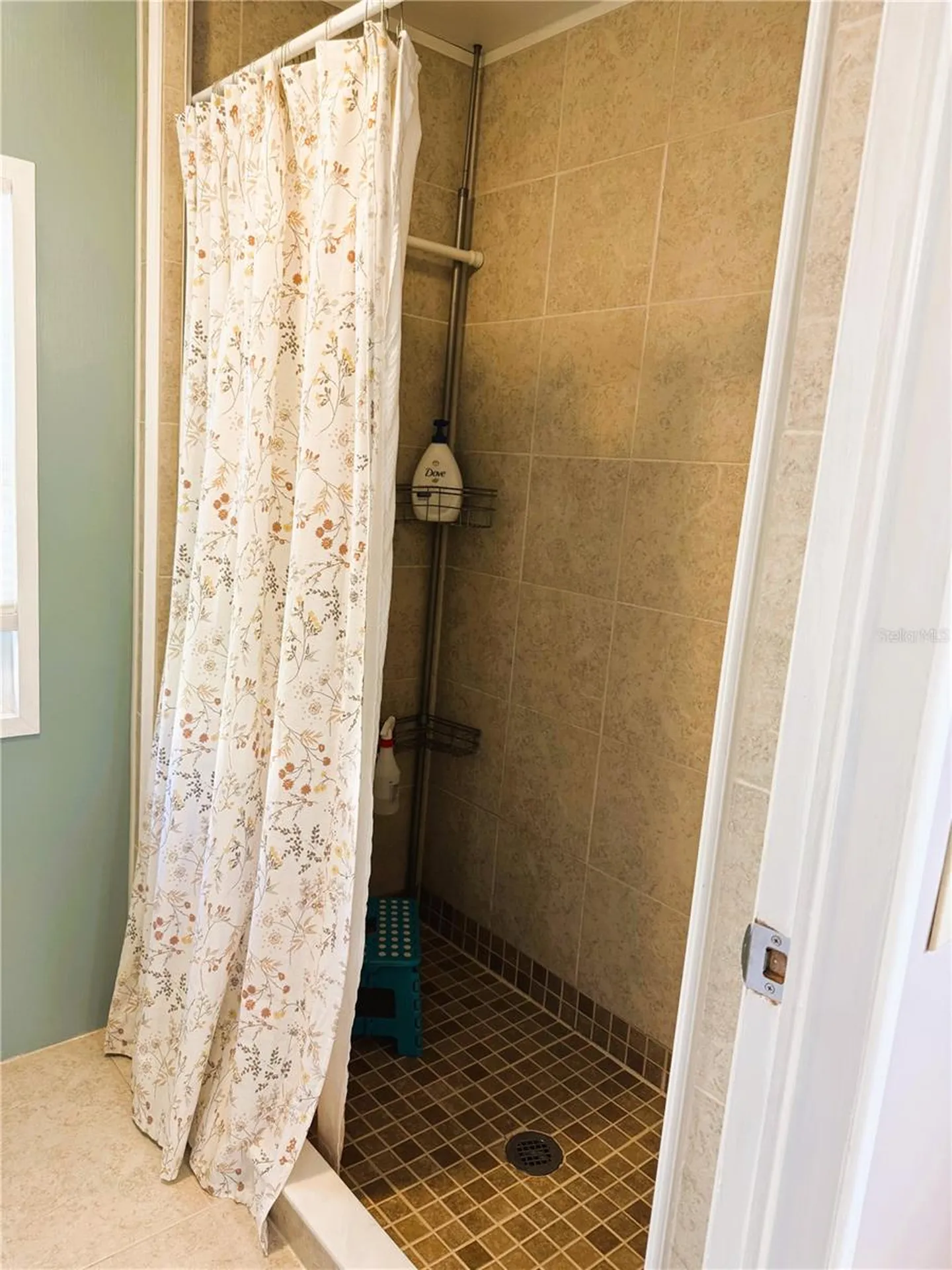 102 Tangelo Cove Leesburg FL 34748