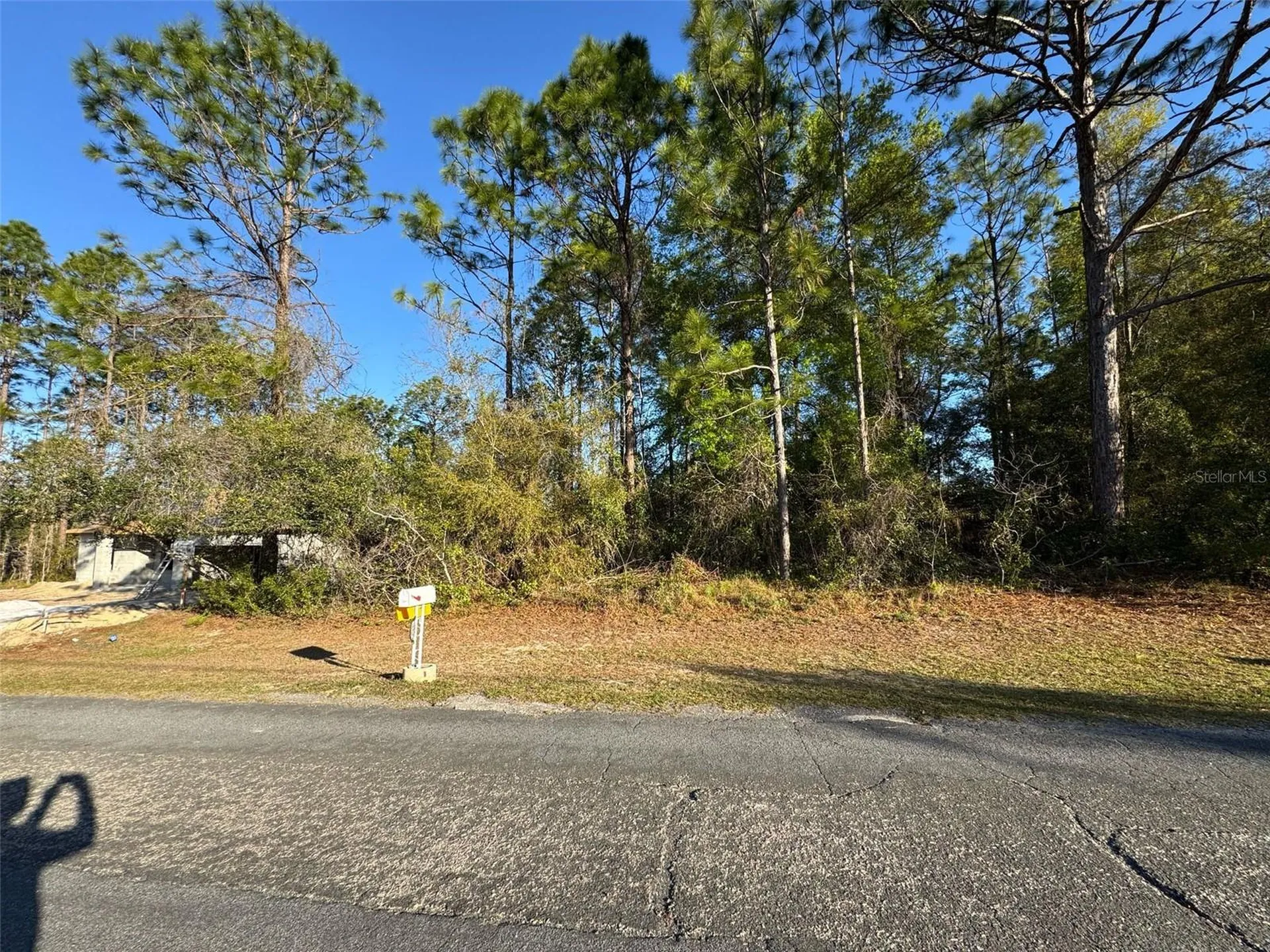 7890 N Pocono Drive Citrus Springs FL 34434