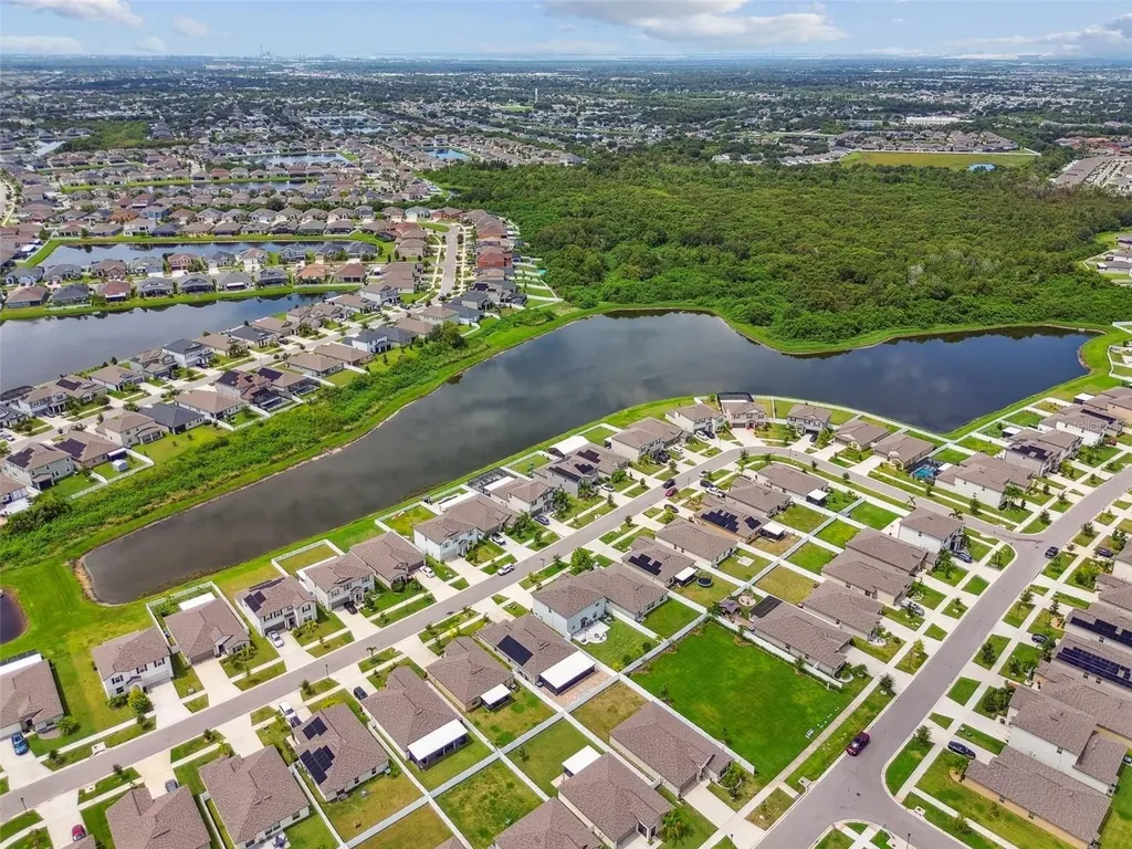 13603 Wild Ginger Street Riverview FL 33579
